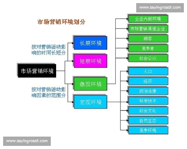 体育行业关键词布局策略解析及其对市场营销效果的提升分析