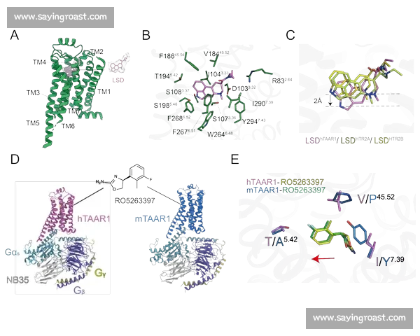 物理伤害核心机制解析与提升策略详解 物理伤害核心机制解析与提升策略详解